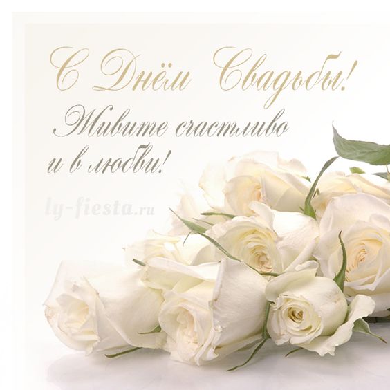 Красивая свадебная открытка с белыми розами скачать