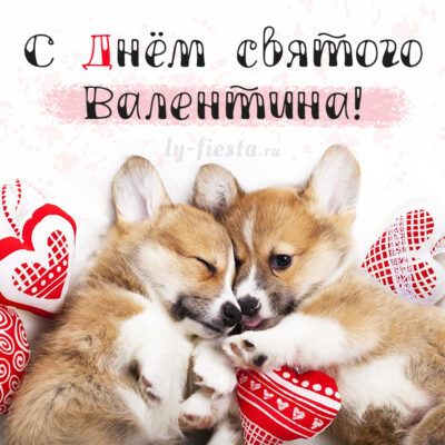 Милая открытка с Днём святого Валентина с щенками скачать